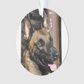 ベルギー人malinois.png オーナメント (正面)