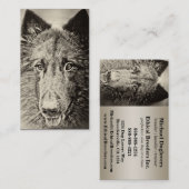 ベルギー人Tervuren 名刺 (正面/裏面)