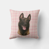 ベルギー性悪性腫瘍 クッション (裏面)