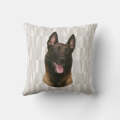 ベルギー性悪性腫瘍 クッション (裏面)