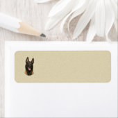 ベルギー性悪性腫瘍 ラベル (インサイチュ)