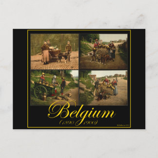 ベルギー犬カート牛乳の販売者ヴィンテージイメージ ポストカード