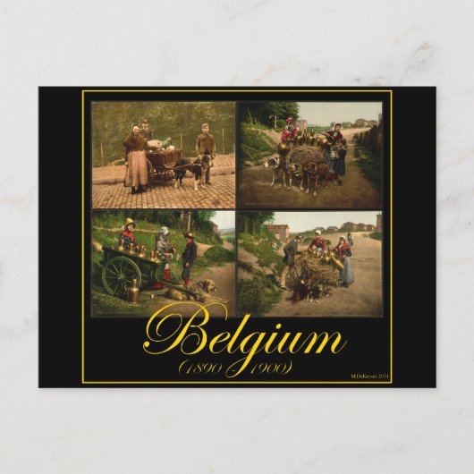 ベルギー犬カート牛乳の販売者ヴィンテージイメージ ポストカード (正面)