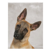 ベルギー羊飼いのポスター ポスター (正面)