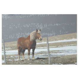 ベルギー荷車を引く馬インパドックギャラリーラップ ギャラリーラップ