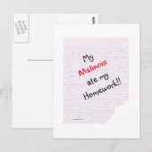 ベルギー食べマリノイ ポストカード (正面/裏面)