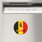 ベルギー マグネット (インサイチュ (食洗機))