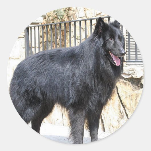 ベルギー(Groendael)フル ラウンドシール (正面)