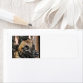 ベルギーmalinois.png ラベル (インサイチュ)