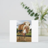 ベルギ荷車を引くーの馬得人車？ ポストカード (スタンド正面)