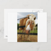 ベルギ荷車を引くーの馬得人車？ ポストカード (正面/裏面)