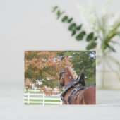 ベルギ荷車を引くー馬具はがき ポストカード (スタンド正面)