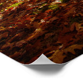 ベルクシアーズサンセット鮮やか秋の葉、西部のMA ポスター (角)