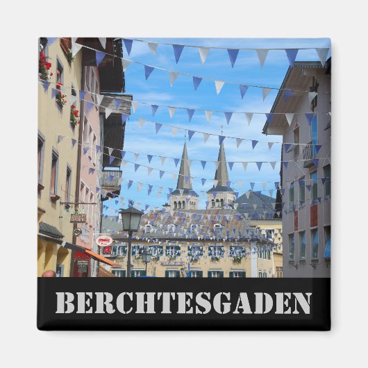 ベルクテッサーデン磁石 マグネット (正面)