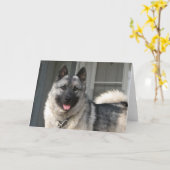 ベルゲンの微笑 カード (黄色い花)