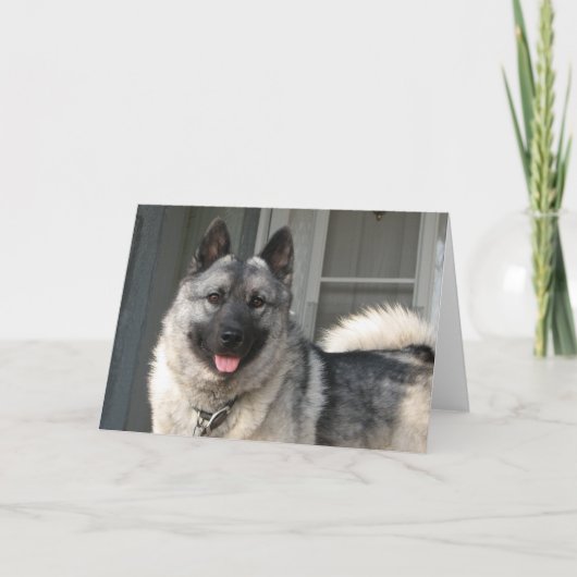 ベルゲンの微笑 カード (正面)