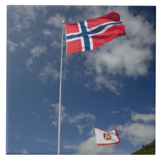 ベルゲンの繁華街の歴史的港湾 タイル (正面)