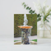 ベルサイユのマルモセット通り像 ポストカード (スタンド正面)