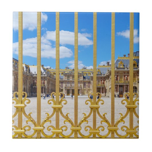 ベルサイユパレスコートヤードバイザゲート タイル (正面)