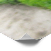 ベルサイユ宮殿の葡萄 ポスター (角)