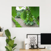 ベルサイユ宮殿の葡萄 ポスター (ホームオフィス)