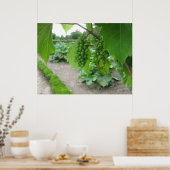 ベルサイユ宮殿の葡萄 ポスター (キッチン)