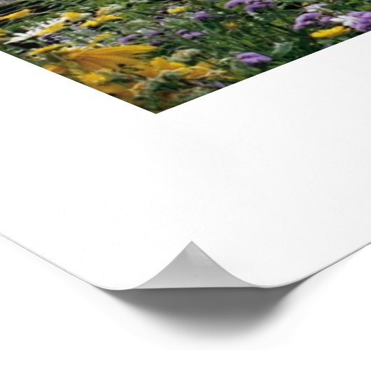 ベルサイユ庭園 ポスター (角)