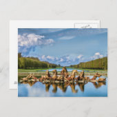 ベルサイユ、フランス、ポストカードから表示 ポストカード (正面/裏面)