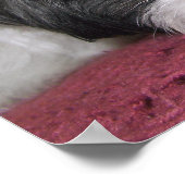 ベルザシーズー(犬)Tzuポスター ポスター (角)