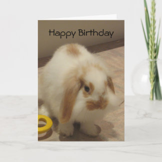 ベルザラビット誕生日カード カード