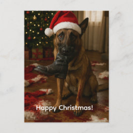 ベルジアンマリノアにサンタが食べられた クリスマス ポストカード