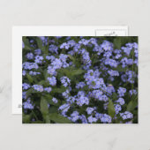 ベルジスミニヒト ポストカード (正面/裏面)