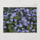 ベルジスミニヒト ポストカード (正面)