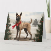 ベルジャン・マリノアの犬の雪のクリスマス カード (正面)