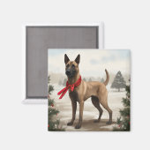 ベルジャン・マリノアの犬の雪のクリスマス マグネット (正面/裏面)