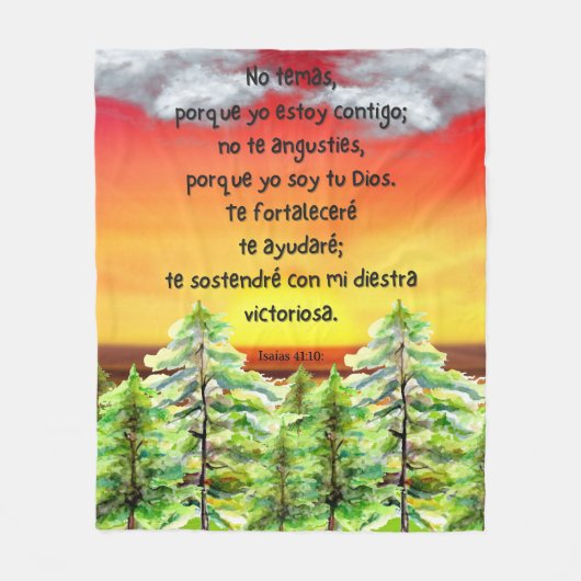 ベルソモチカシオナレスビブリコスエンエスパニョル フリースブランケット (正面)