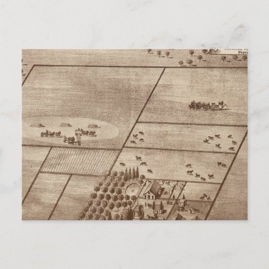 ベルッチ牧場 ポストカード (正面)