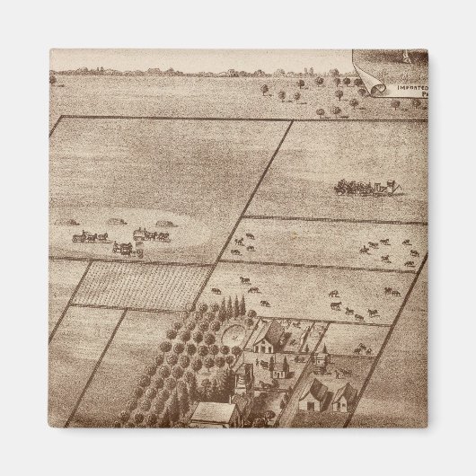 ベルッチ牧場 マグネット (正面)