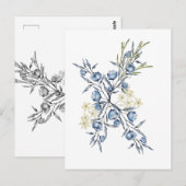 ベルツリー ポストカード (正面/裏面)