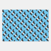 ベルティ、ベルト付きガロウェイのギフトラップシートセット ラッピングペーパーシート (正面2)