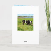 ベルテッドガロウェイベビーふくらはぎ、誕生日 カード (裏面)