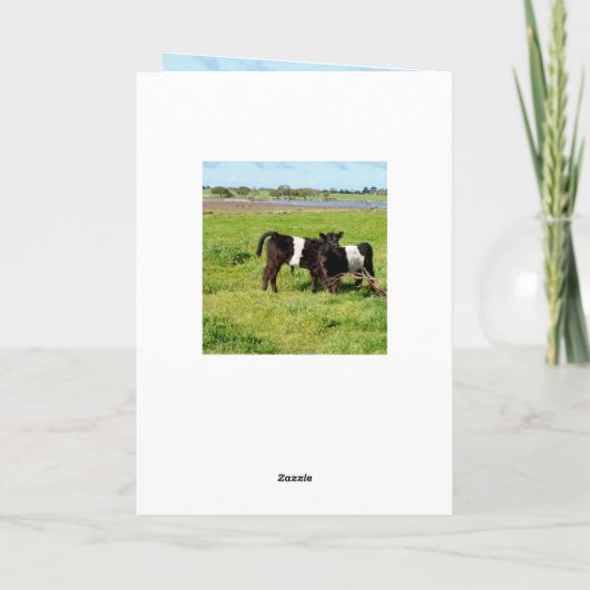 ベルテッドガロウェイベビーふくらはぎ、誕生日 カード (裏面)