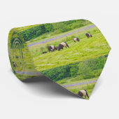 ベルテッドガロウェイ牛インパスチュアロックポートメイン ネクタイ (ロール)