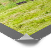 ベルテッドガロウェイ牛インパスチュアロックポートメイン ポスター (角)