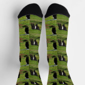 ベルテッドガロウェイ牛、クルーソックス ソックス (上部)