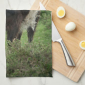 ベルテッドガロウェイ キッチンタオル (四つ折り)