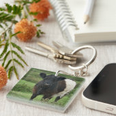 ベルテッドガロウェイ キーホルダー (正面右)