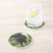 ベルテッドガロウェイ コースター (側面)