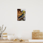 ベルテッドキングフィッシャーズとその巣トンネル ポスター (キッチン)