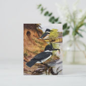 ベルテッドキングフィッシャーズとその巣トンネル ポストカード (スタンド正面)